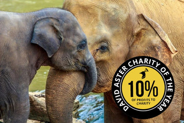 10% of our Profits go to Charity